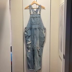 Wild Fable Overalls